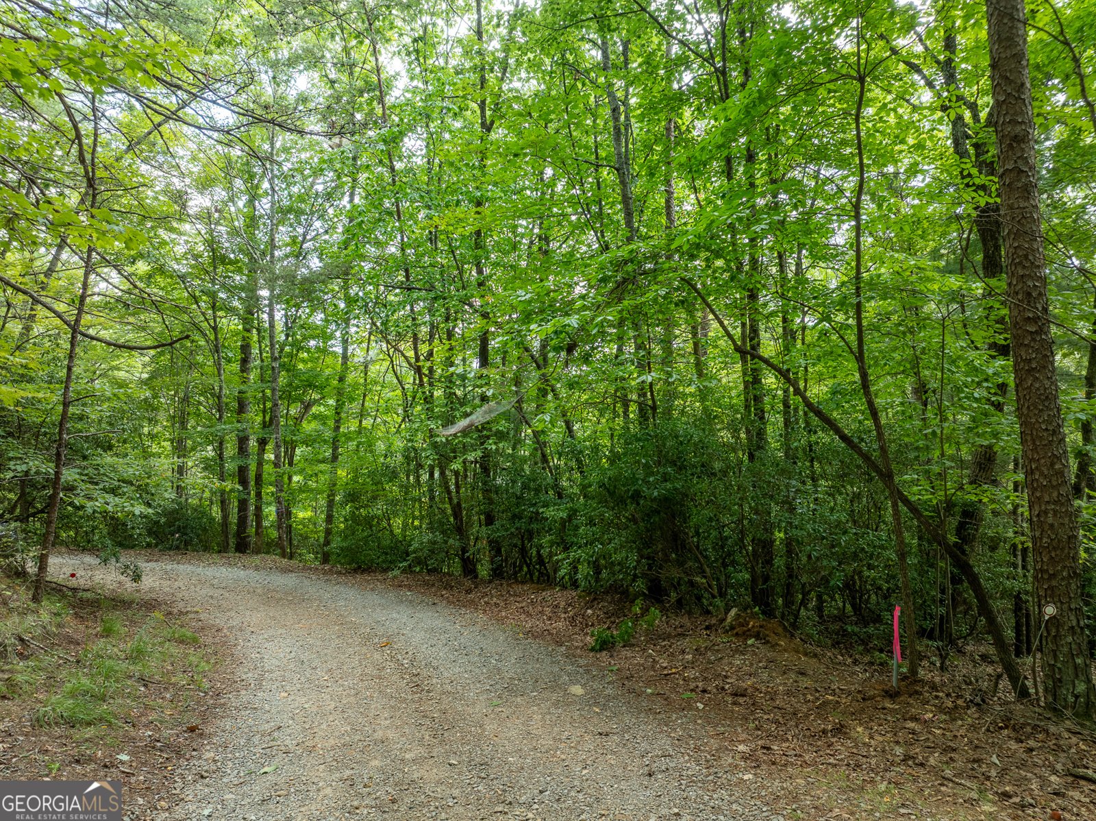 476 Prince Mountain Road Cherry Log - 68