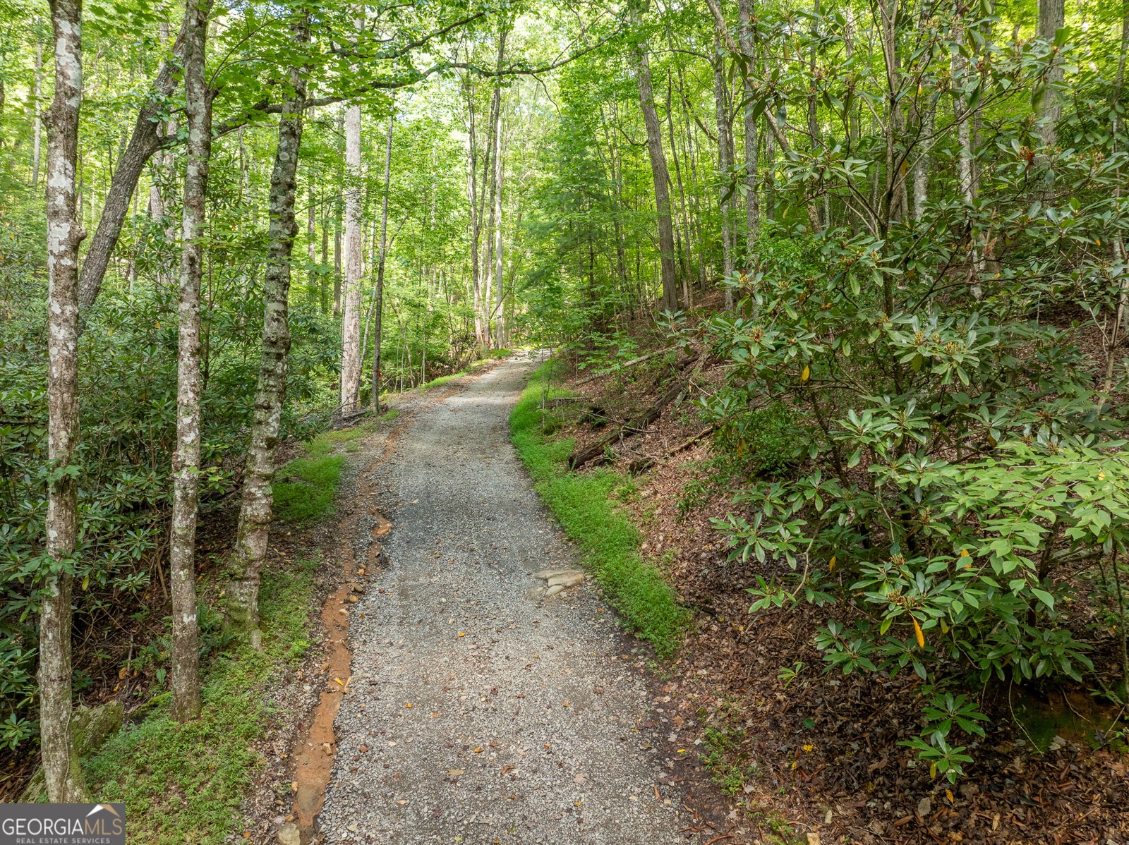 476 Prince Mountain Road Cherry Log - 69