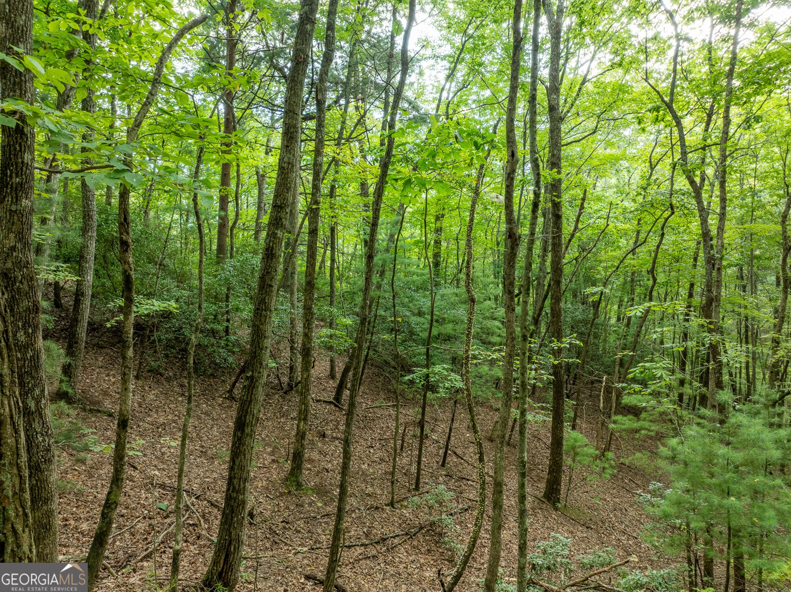 476 Prince Mountain Road Cherry Log - 72