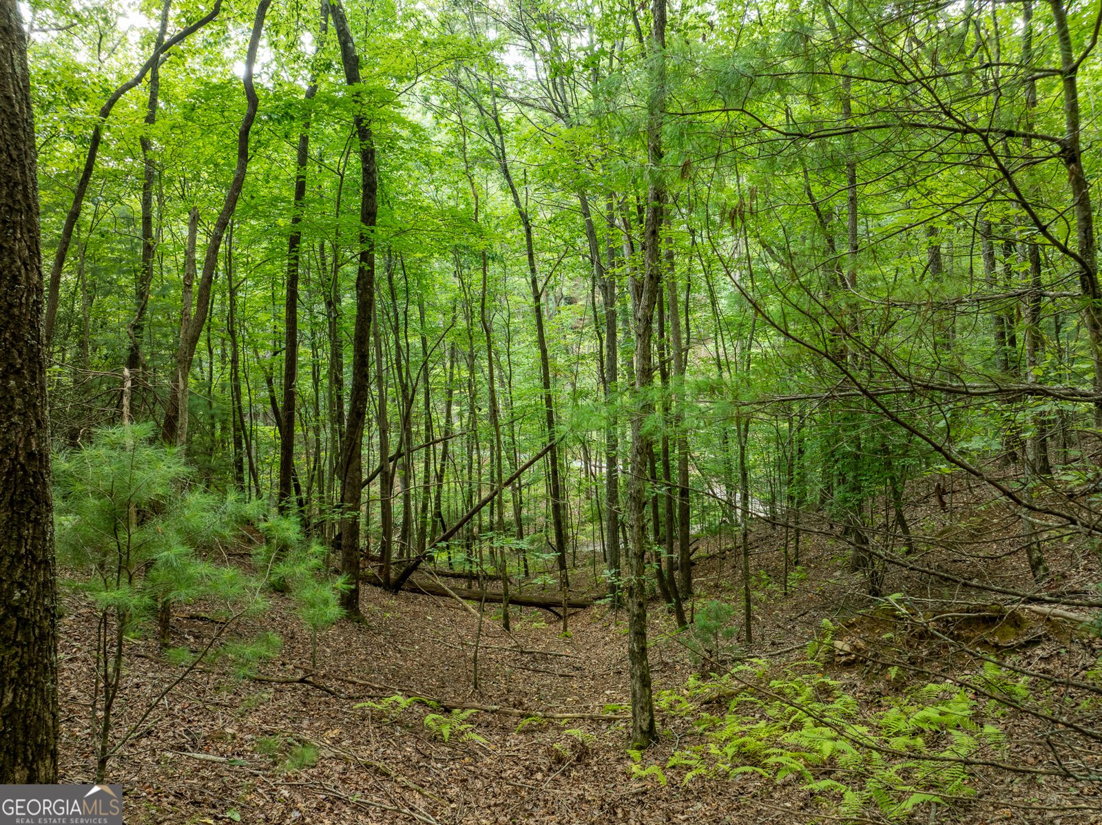 476 Prince Mountain Road Cherry Log - 74