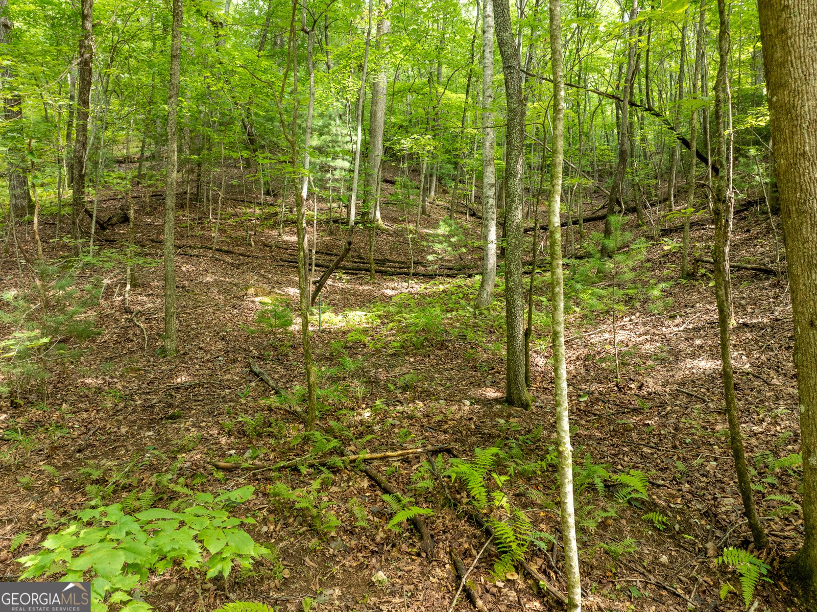 476 Prince Mountain Road Cherry Log - 77