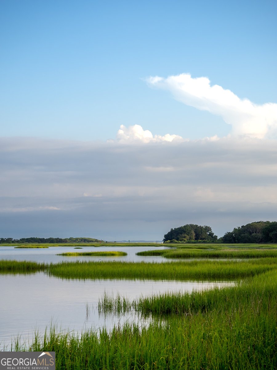 1425 Lanier Boulevard Brunswick - 53