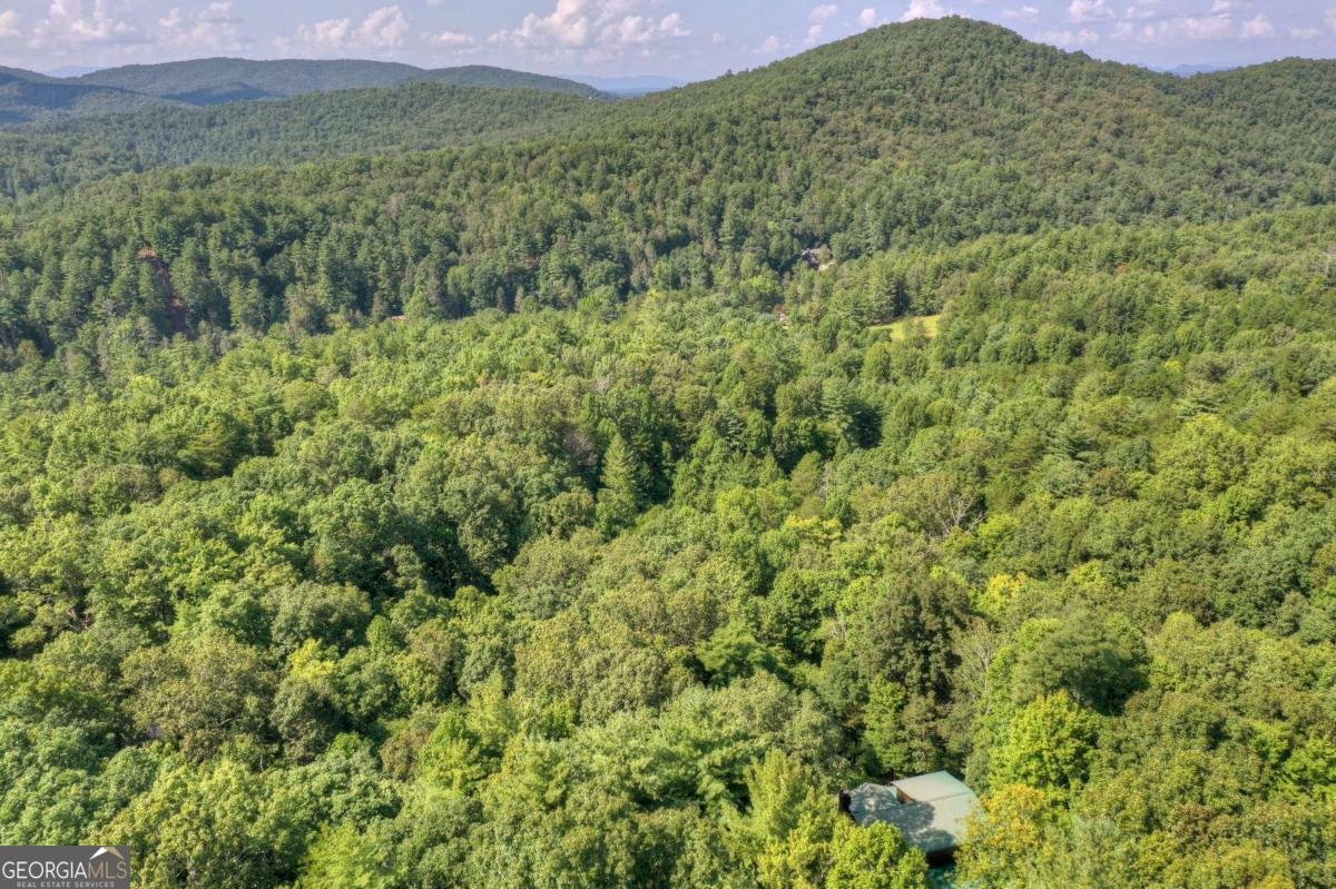 482 Old Aska Road Blue Ridge - 1