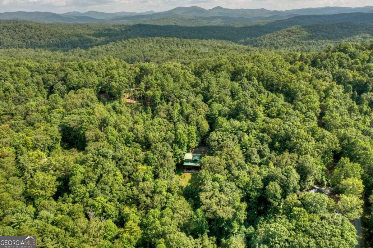 482 Old Aska Road Blue Ridge - 3