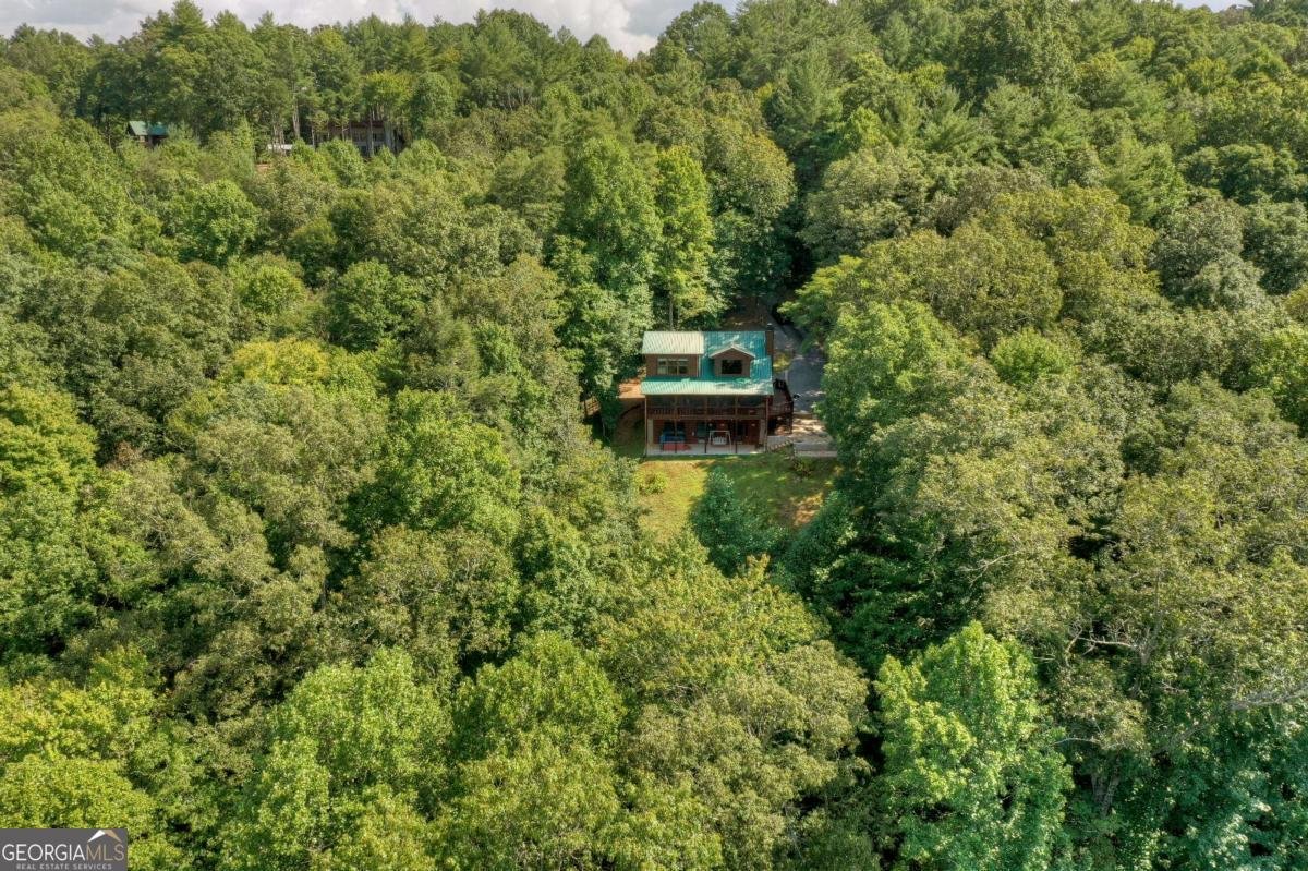 482 Old Aska Road Blue Ridge - 5