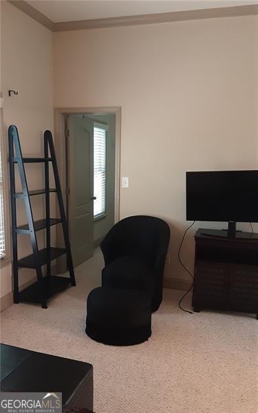 844 RED HART Alpharetta - 17