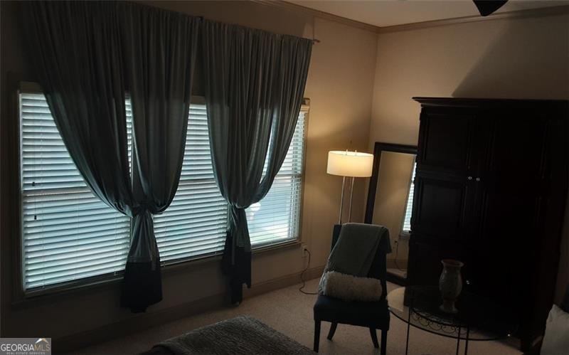 844 RED HART Alpharetta - 36