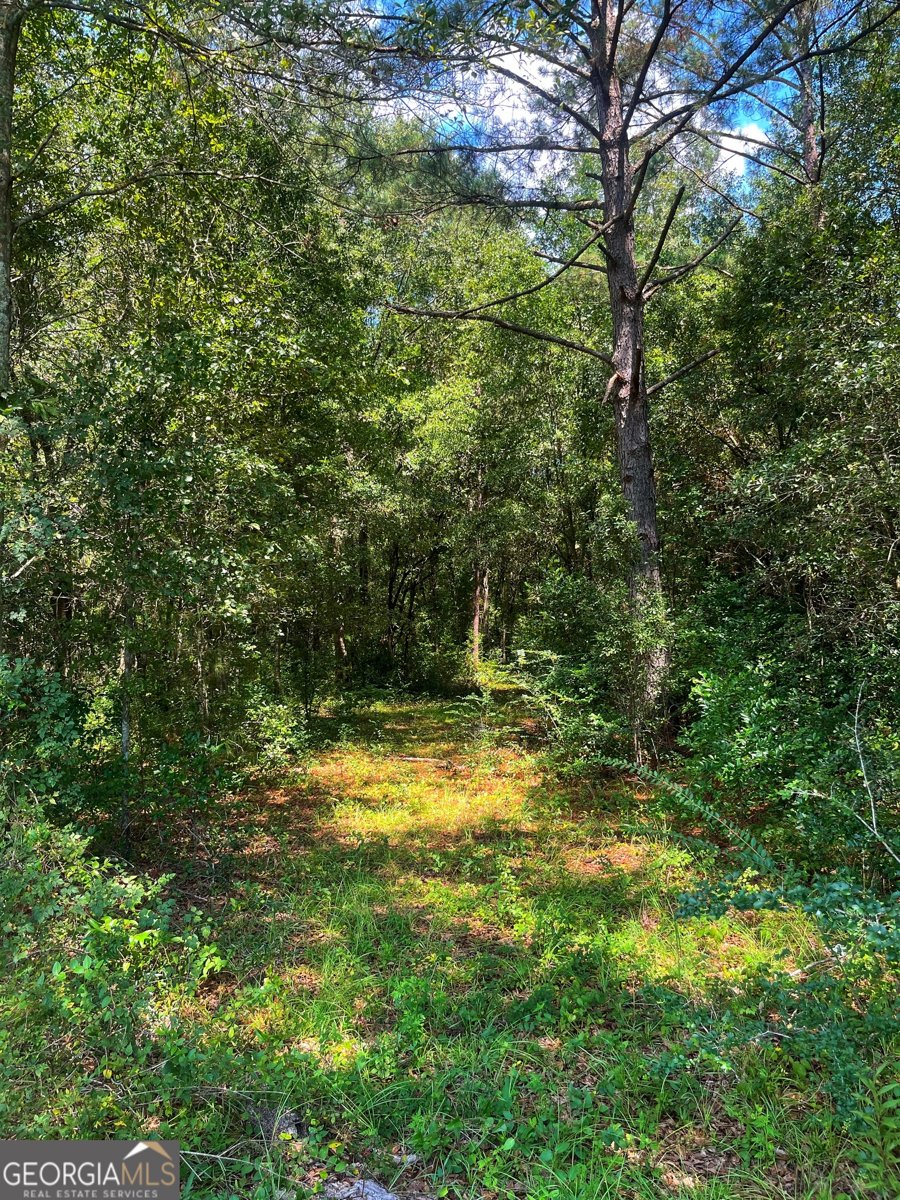 1508 Liberty Expressway Albany - 29