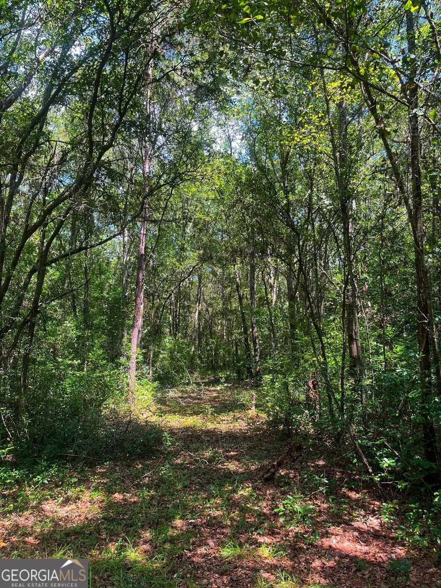 1508 Liberty Expressway Albany - 30