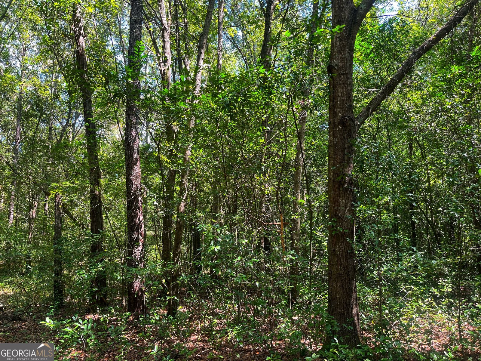 1508 Liberty Expressway Albany - 31