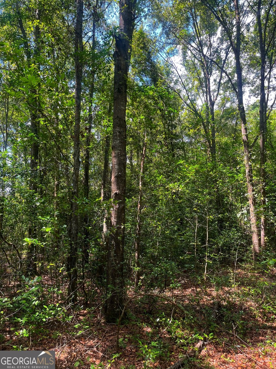 1508 Liberty Expressway Albany - 32