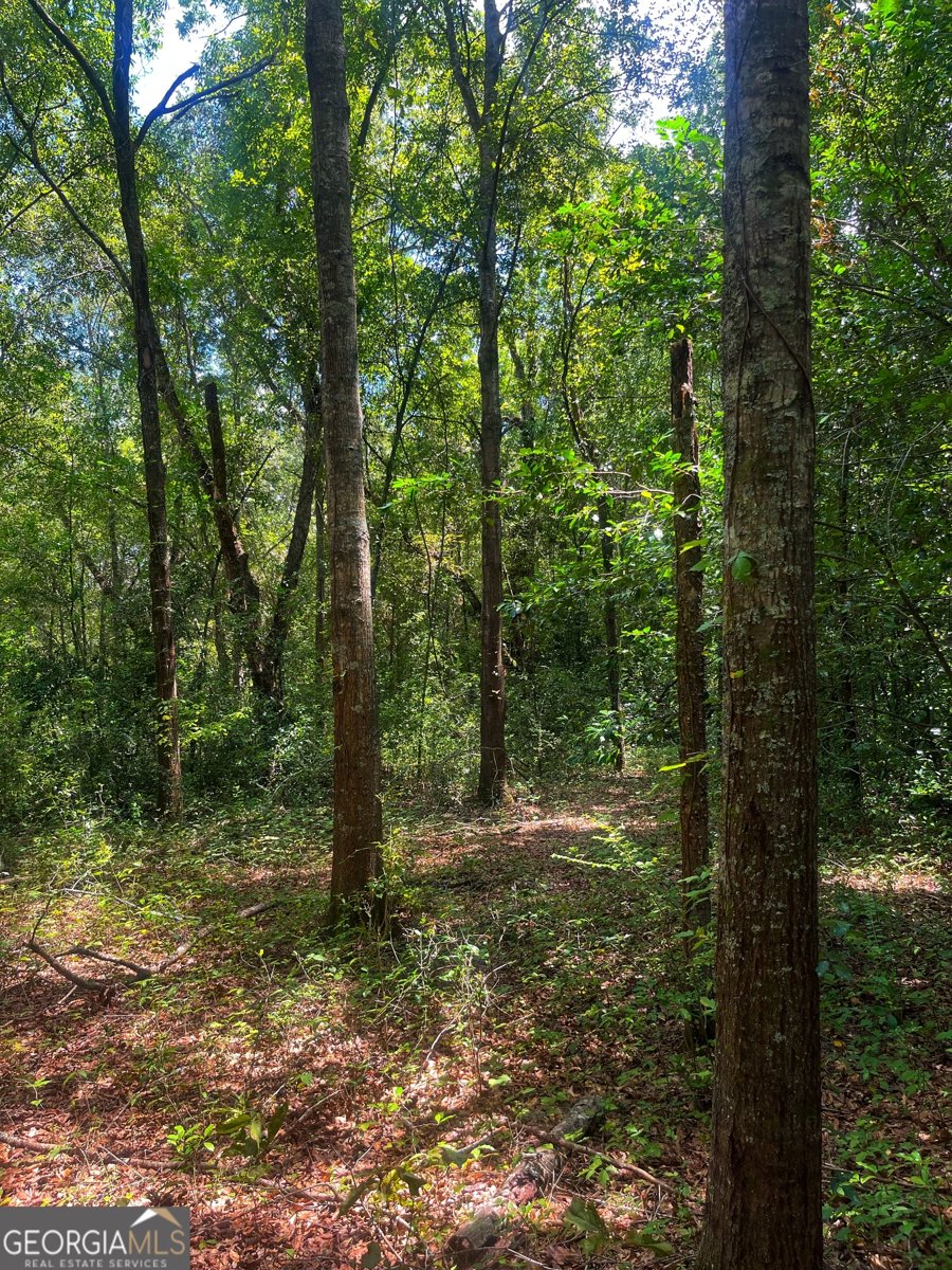 1508 Liberty Expressway Albany - 33