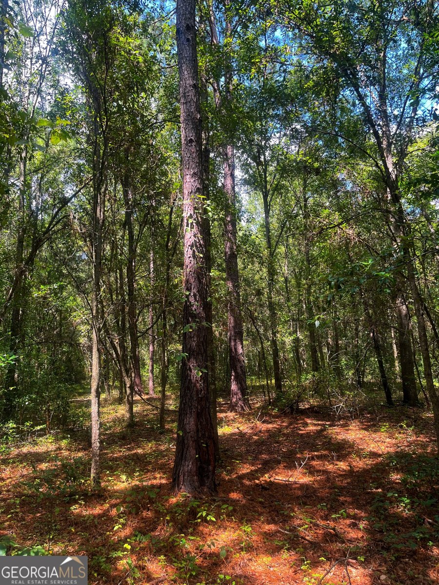 1508 Liberty Expressway Albany - 34