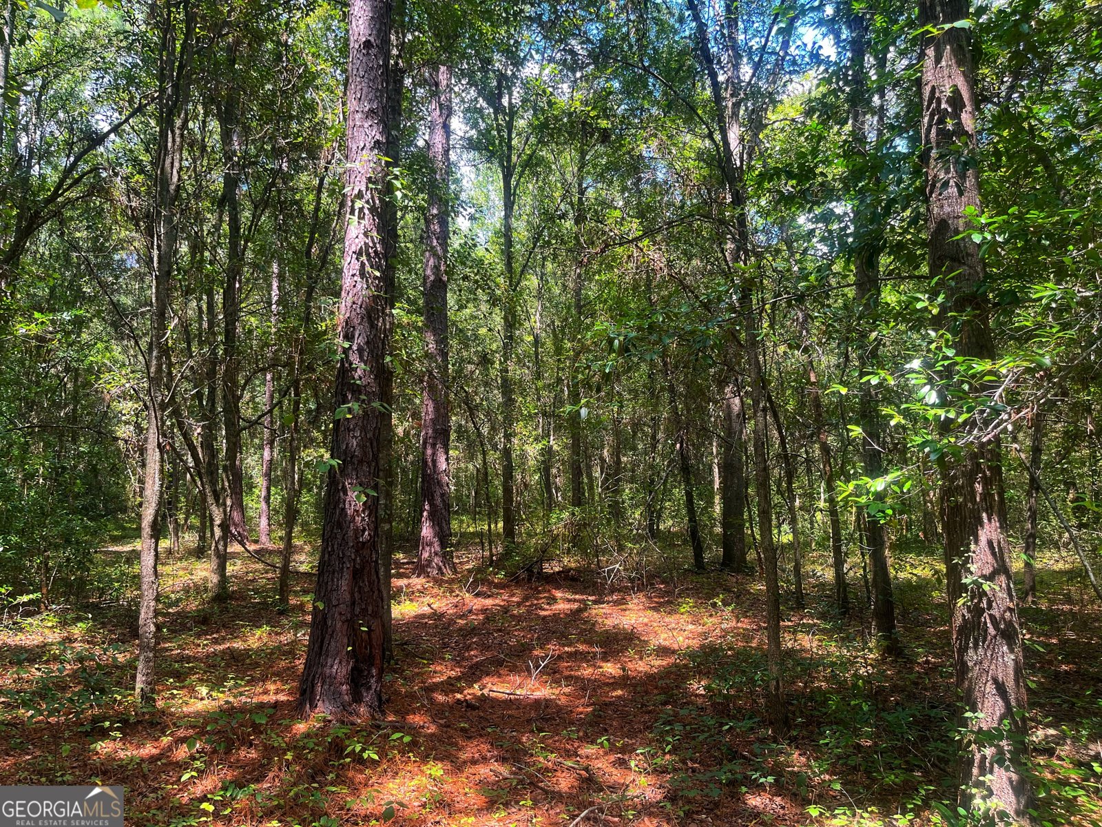 1508 Liberty Expressway Albany - 35