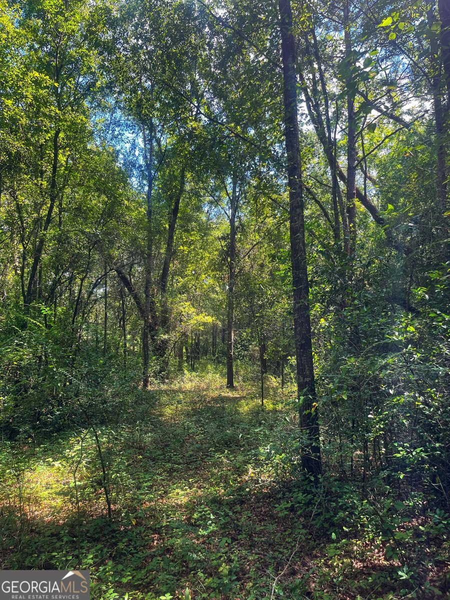 1508 Liberty Expressway Albany - 36