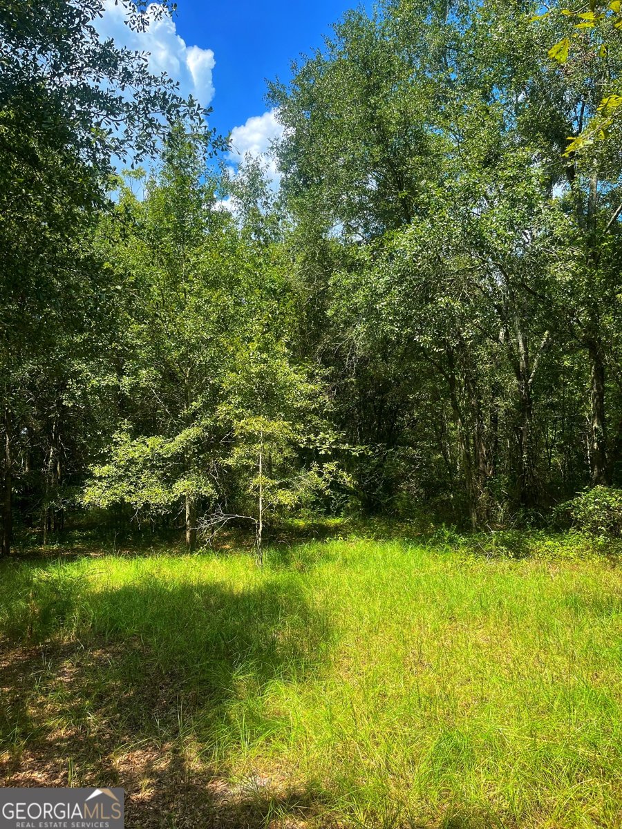 1508 Liberty Expressway Albany - 39