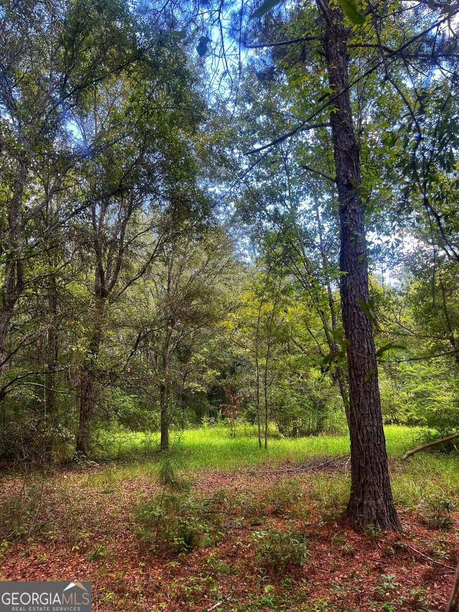 1508 Liberty Expressway Albany - 40