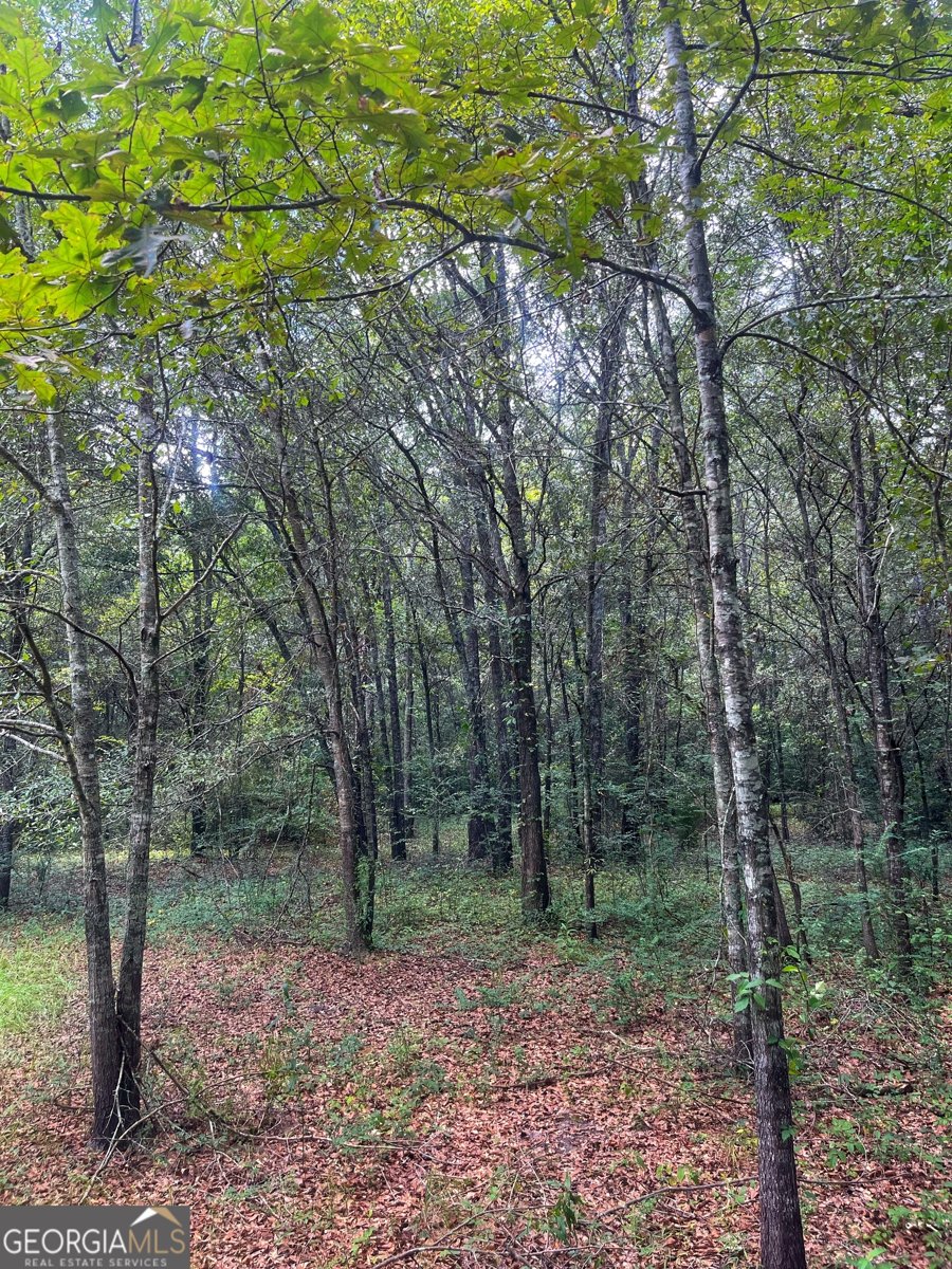 1508 Liberty Expressway Albany - 41