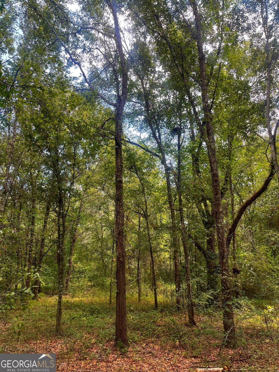 1508 Liberty Expressway Albany - 42