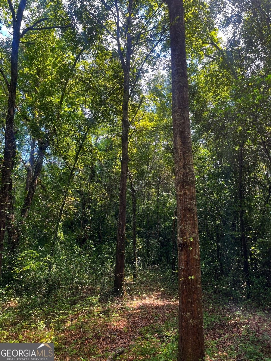 1508 Liberty Expressway Albany - 43