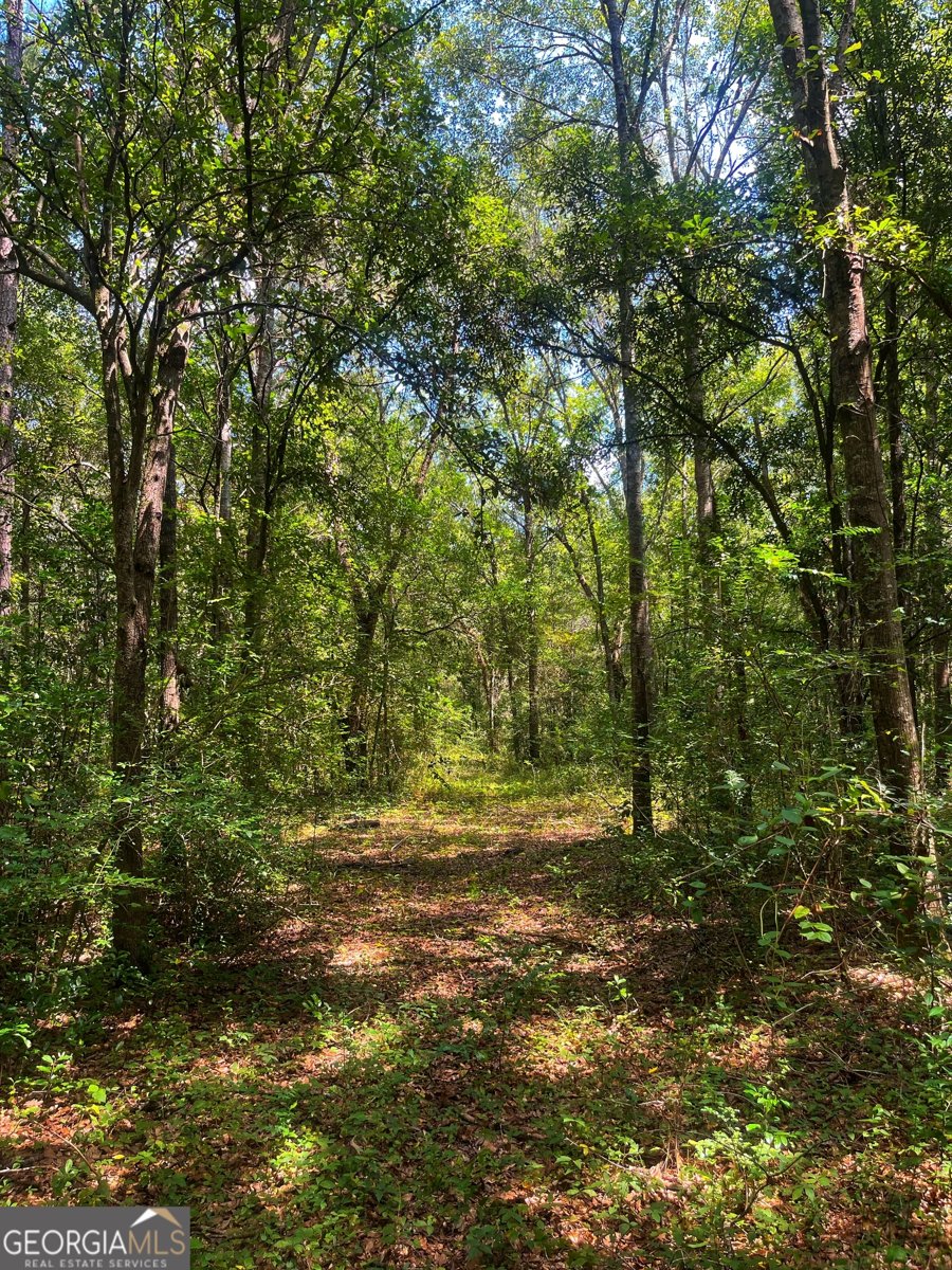 1508 Liberty Expressway Albany - 44