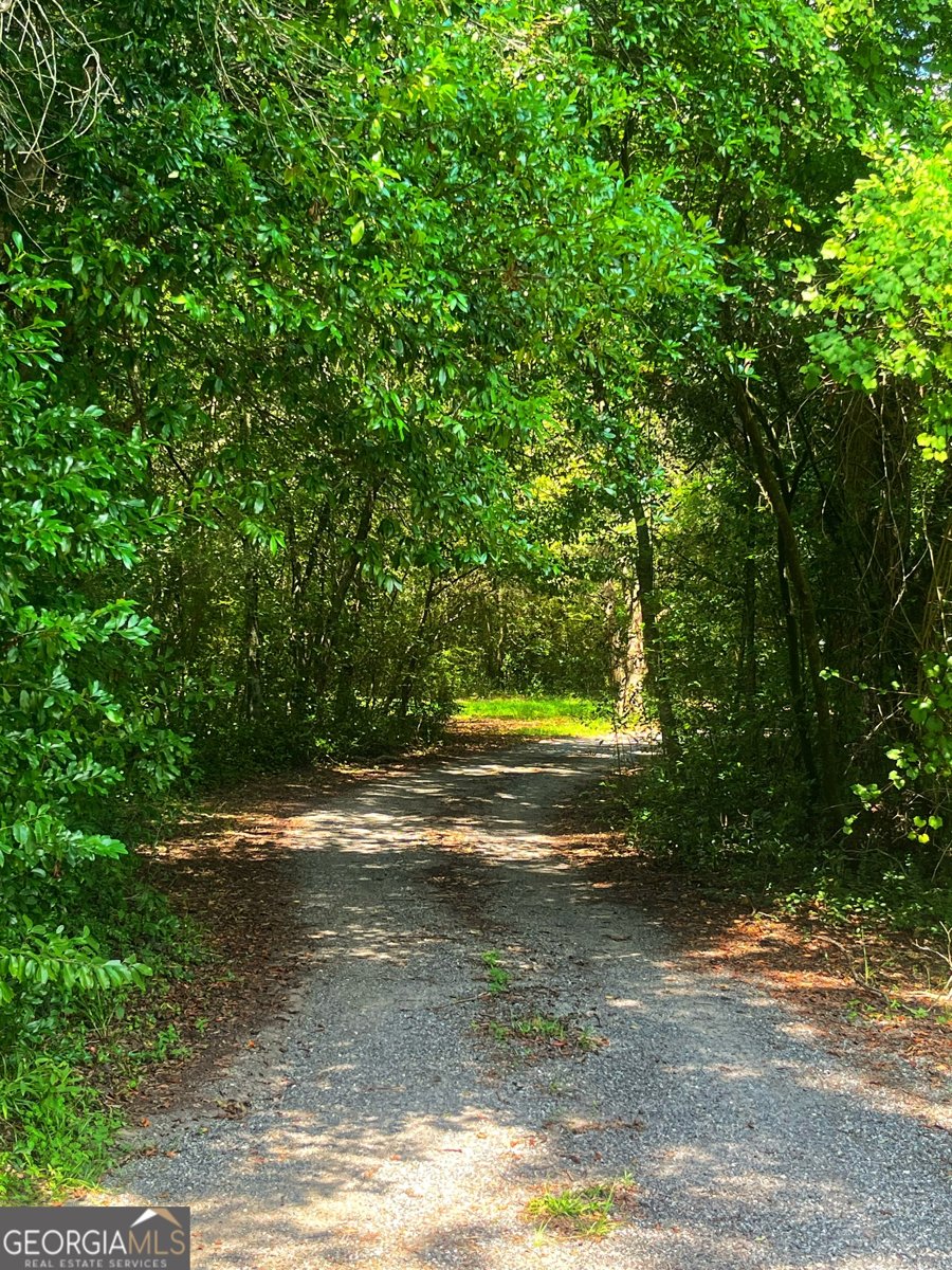 1508 Liberty Expressway Albany - 46