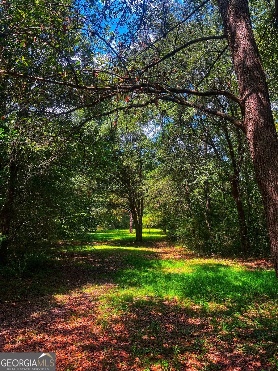 1508 Liberty Expressway Albany - 48