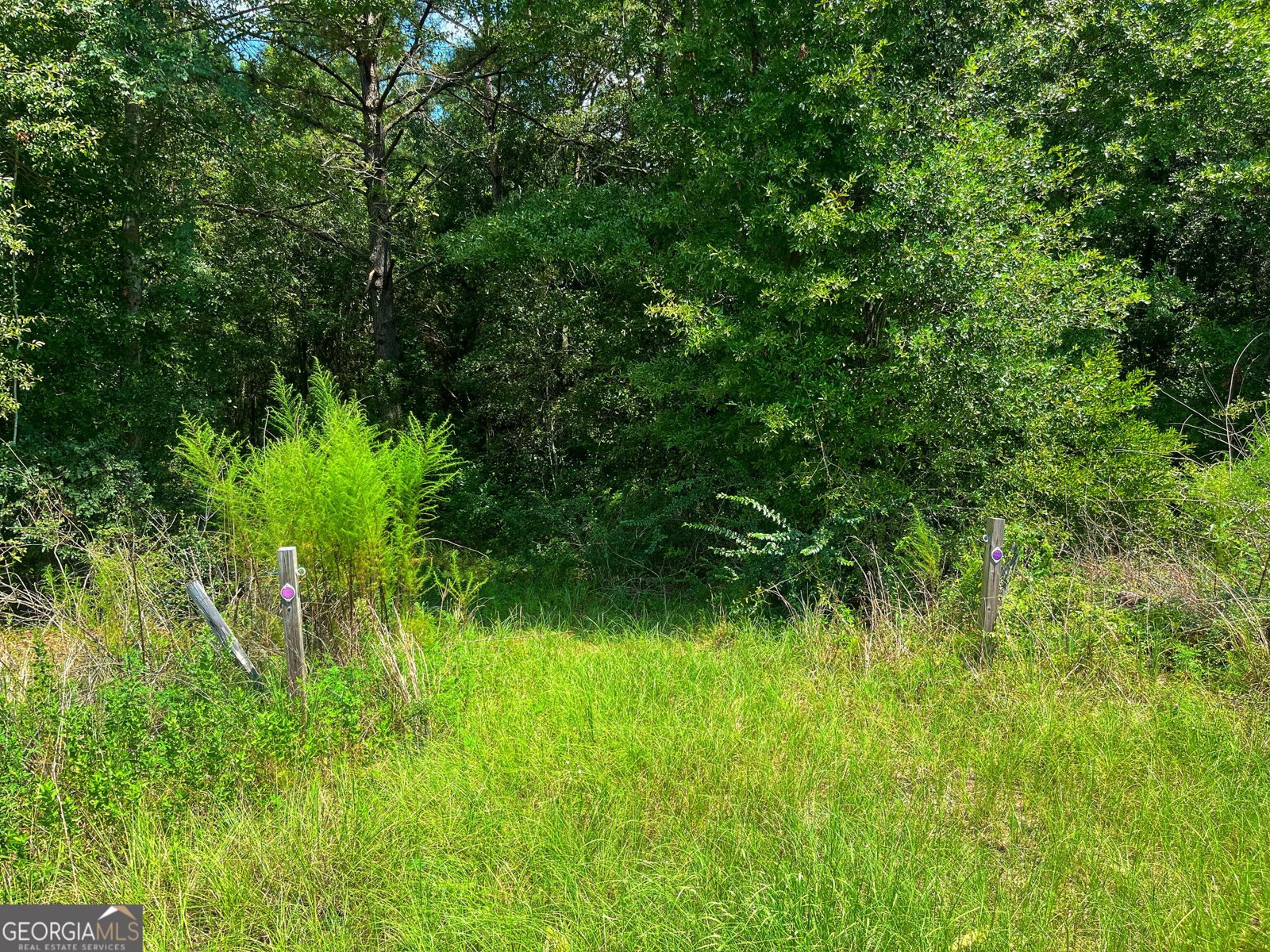 1508 Liberty Expressway Albany - 49