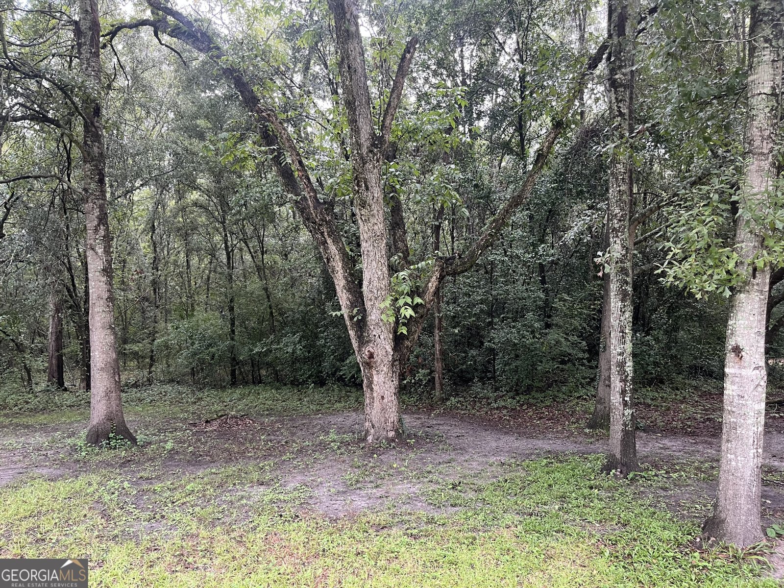 1508 Liberty Expressway Albany - 50