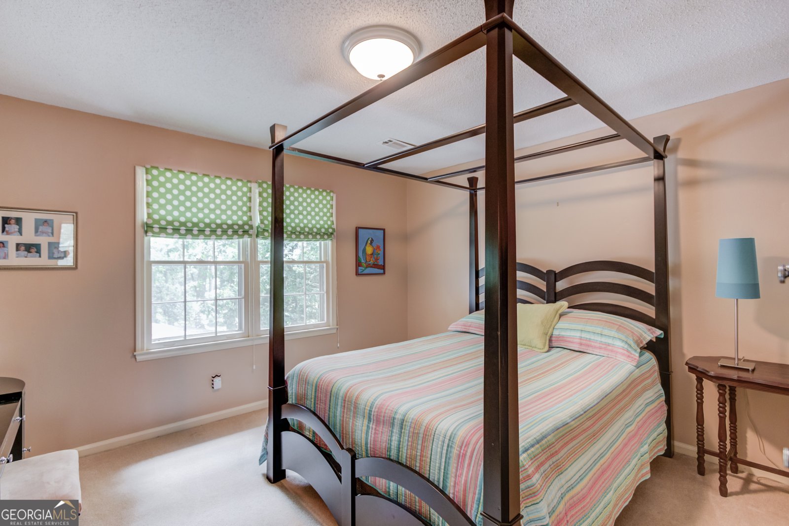 2314 Pine Point Drive Lawrenceville - 8
