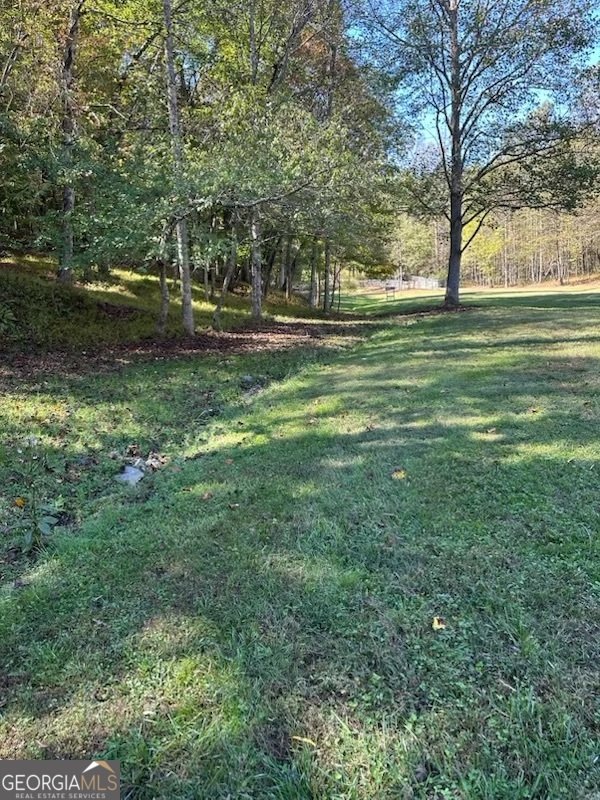 2685 Messer Road Young Harris - 33