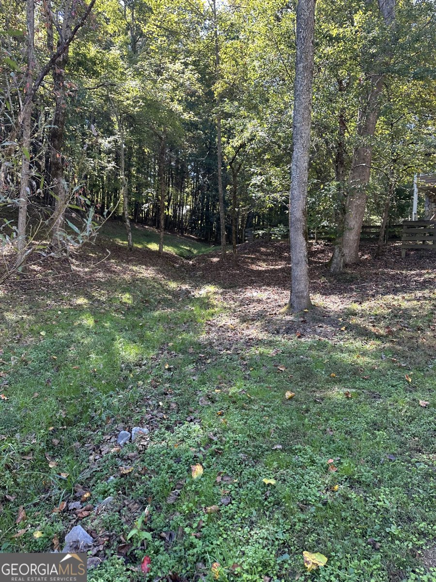 2685 Messer Road Young Harris - 37