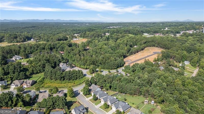46 Creekstone Lane Dawsonville - 12