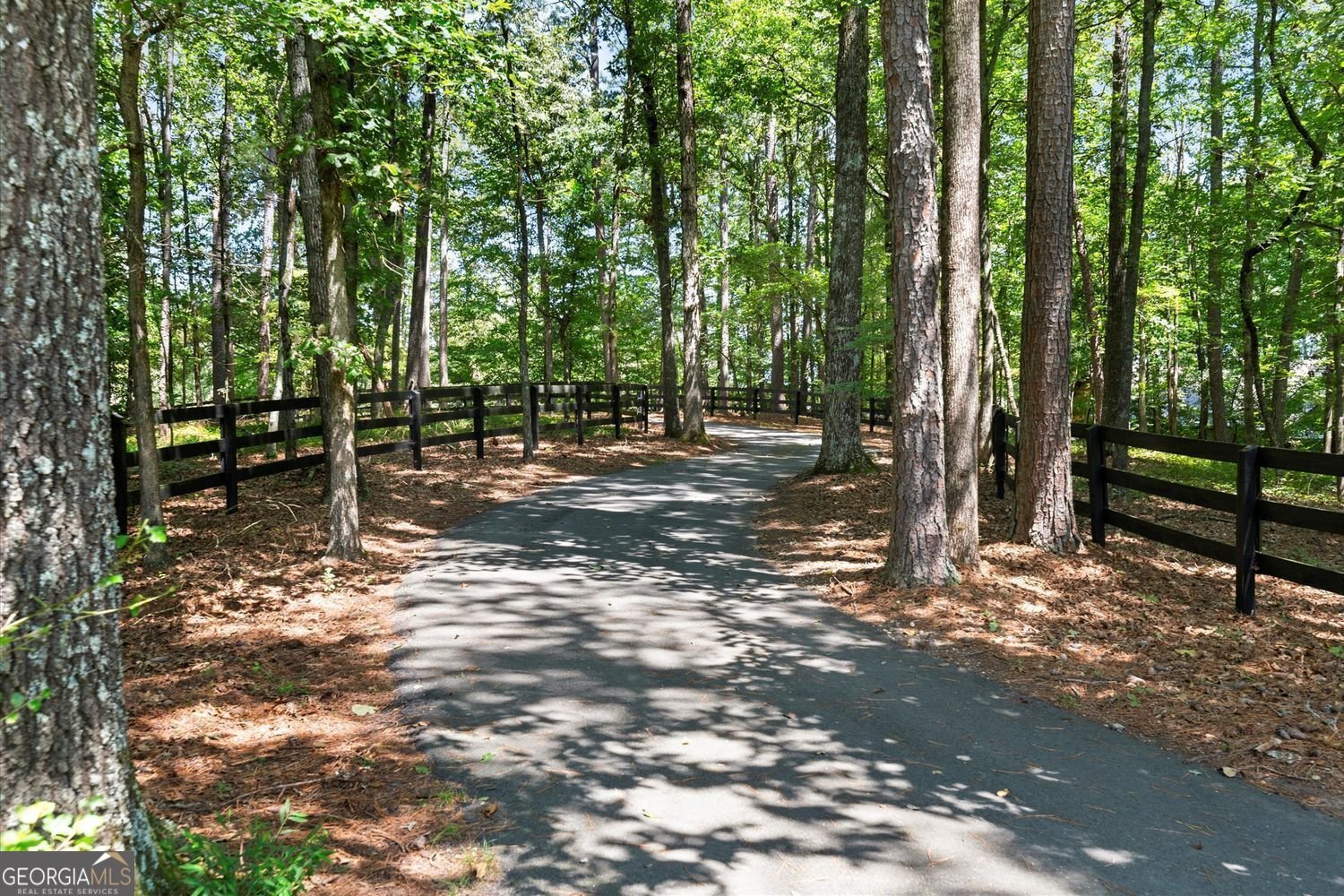 165 Crowe Road Alpharetta - 2