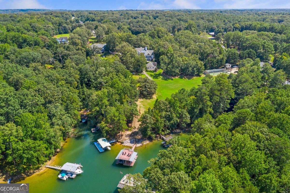 6026 Jim Crow Road Flowery Branch - 17