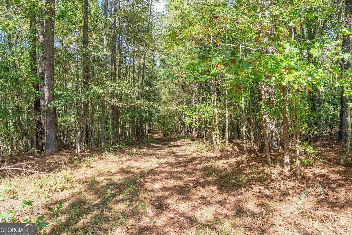 5111 Greensboro Road Washington - 75