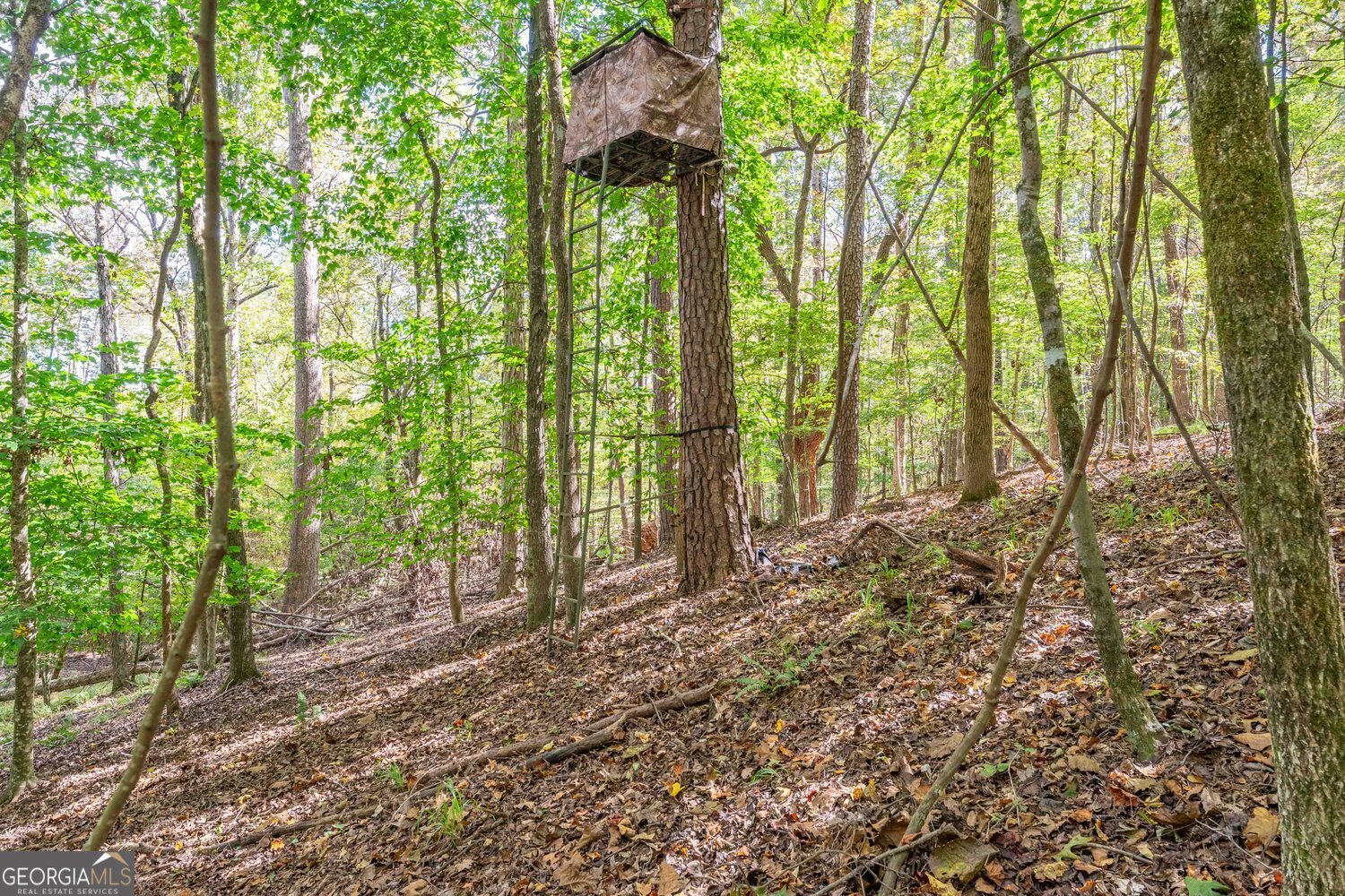 5111 Greensboro Road Washington - 76