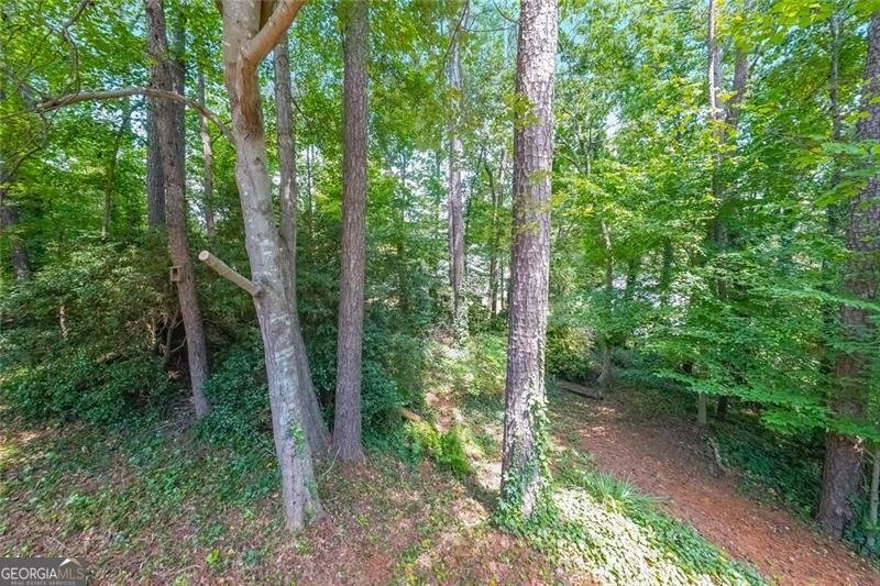 1046 SUMMER HILL Court Acworth - 32