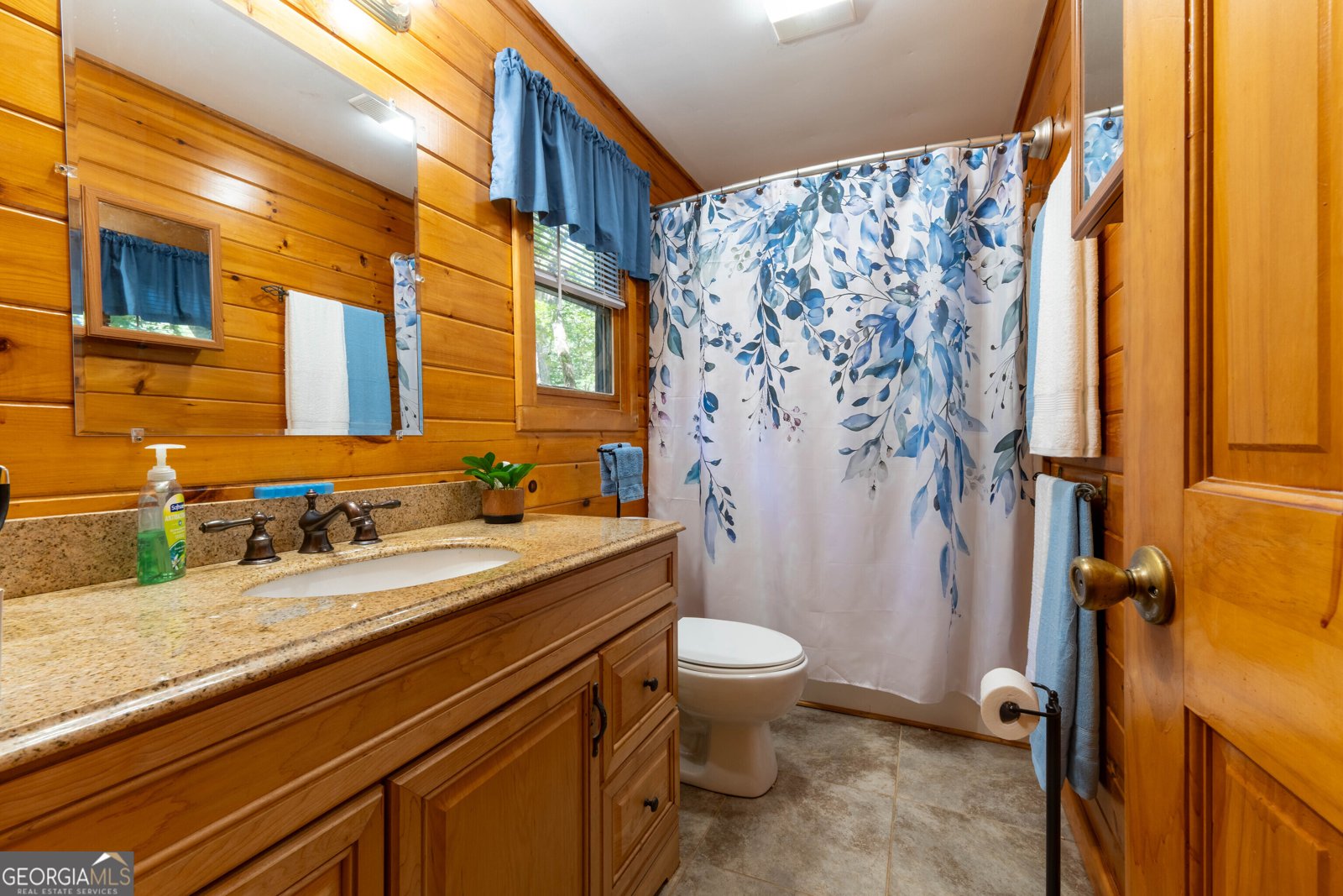 308 Hemlock Trail Blue Ridge - 42