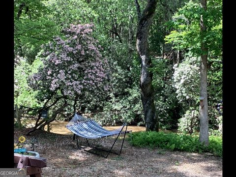 308 Hemlock Trail Blue Ridge - 50