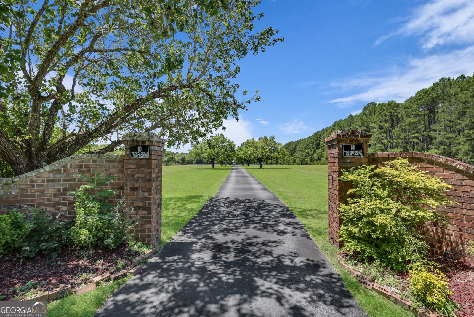 1099 Old Olive Branch Road Ellabell - 57