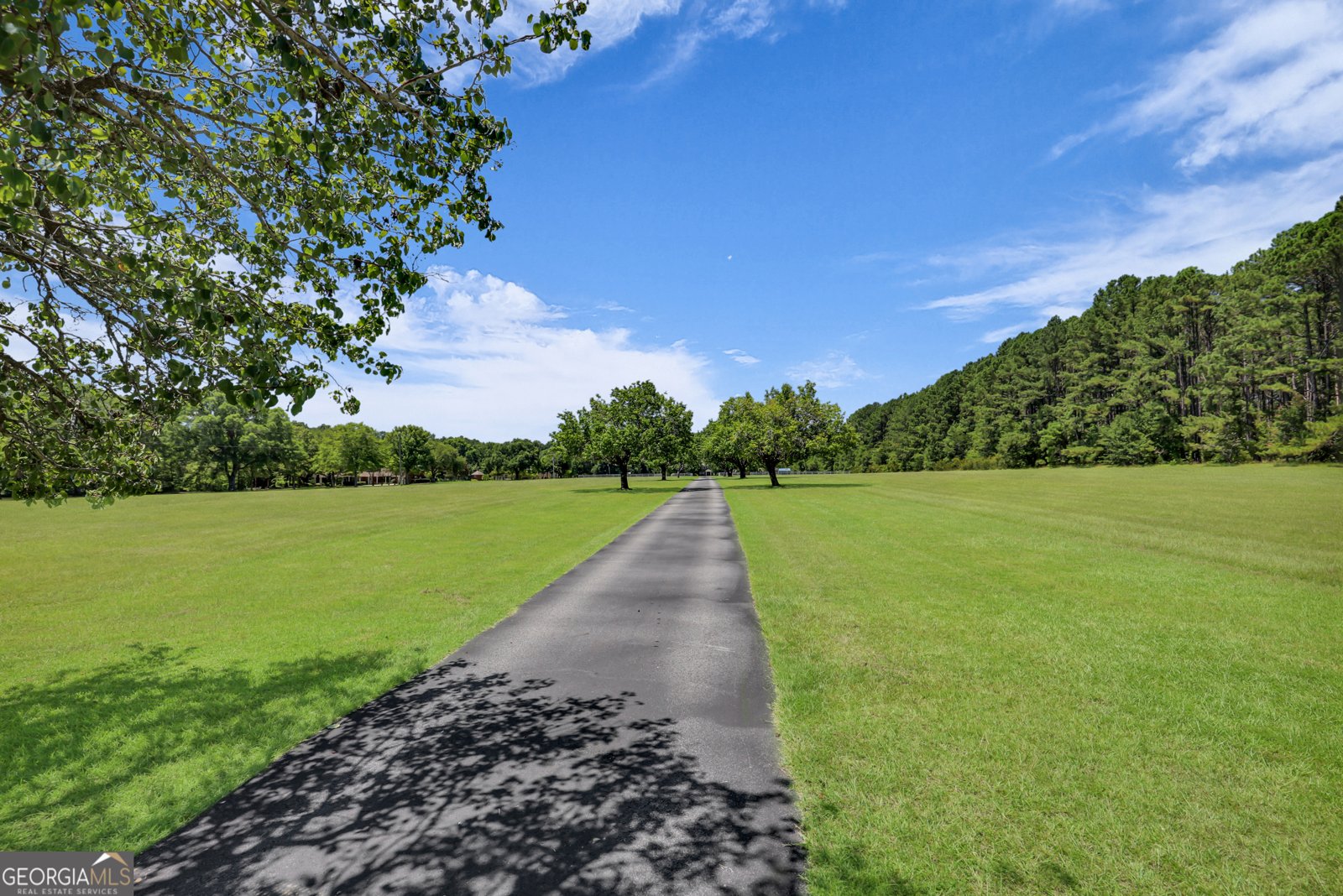 1099 Old Olive Branch Road Ellabell - 58