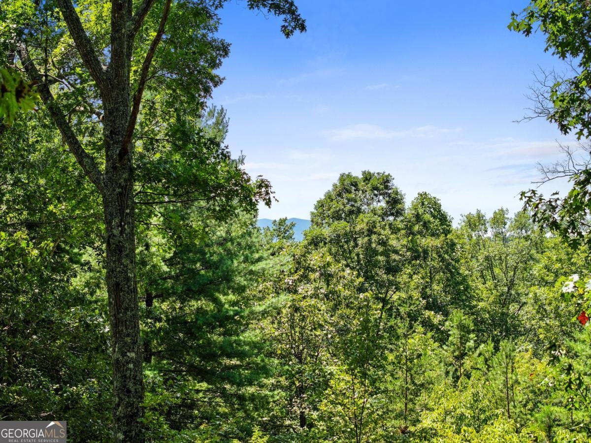 335 Meadowoods Drive Morganton - 3