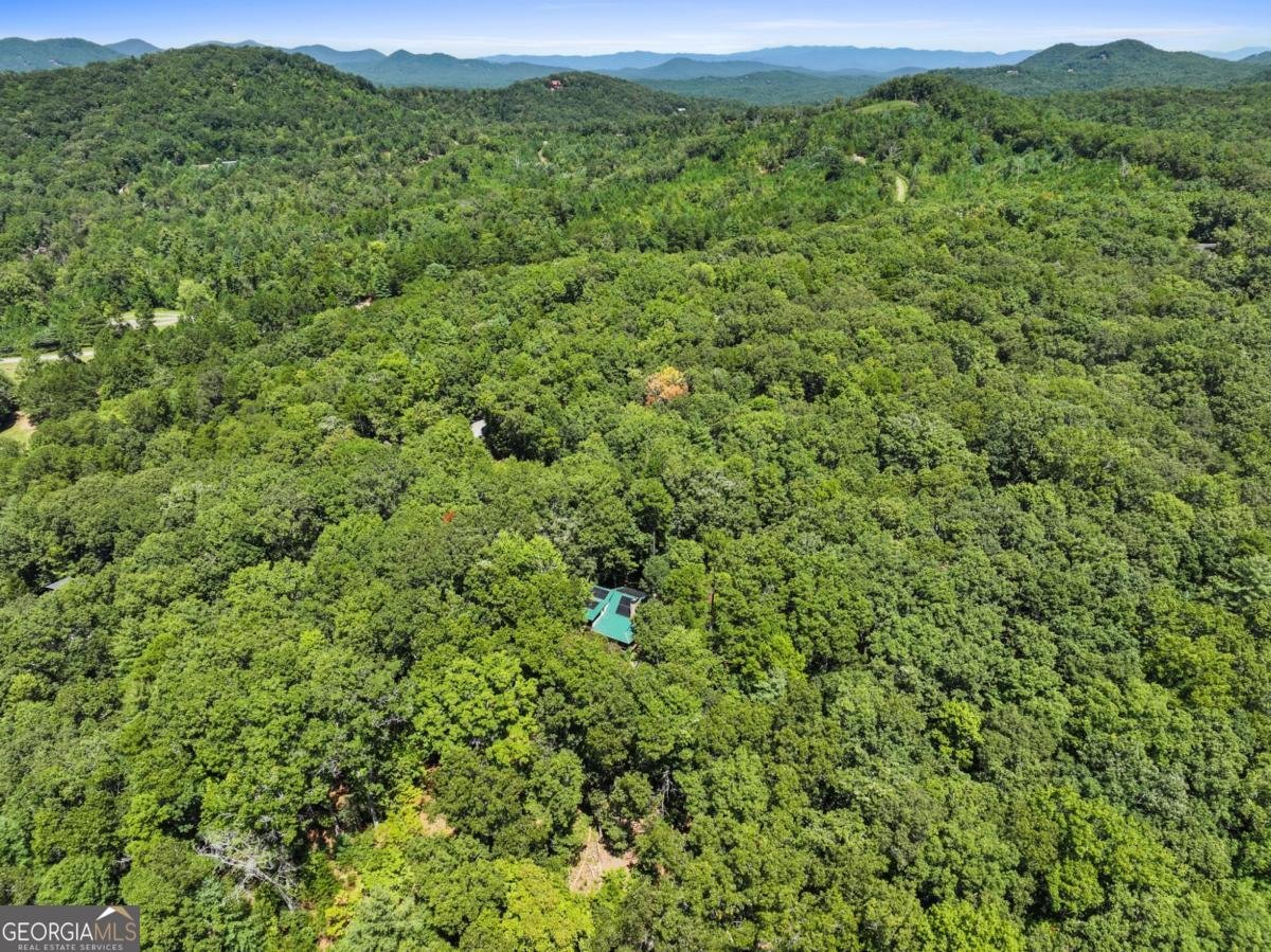 335 Meadowoods Drive Morganton - 6