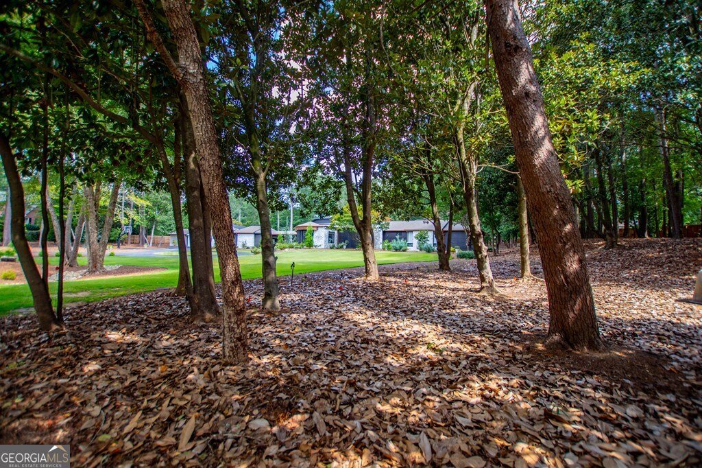 110 Golfview Court Carrollton - 46