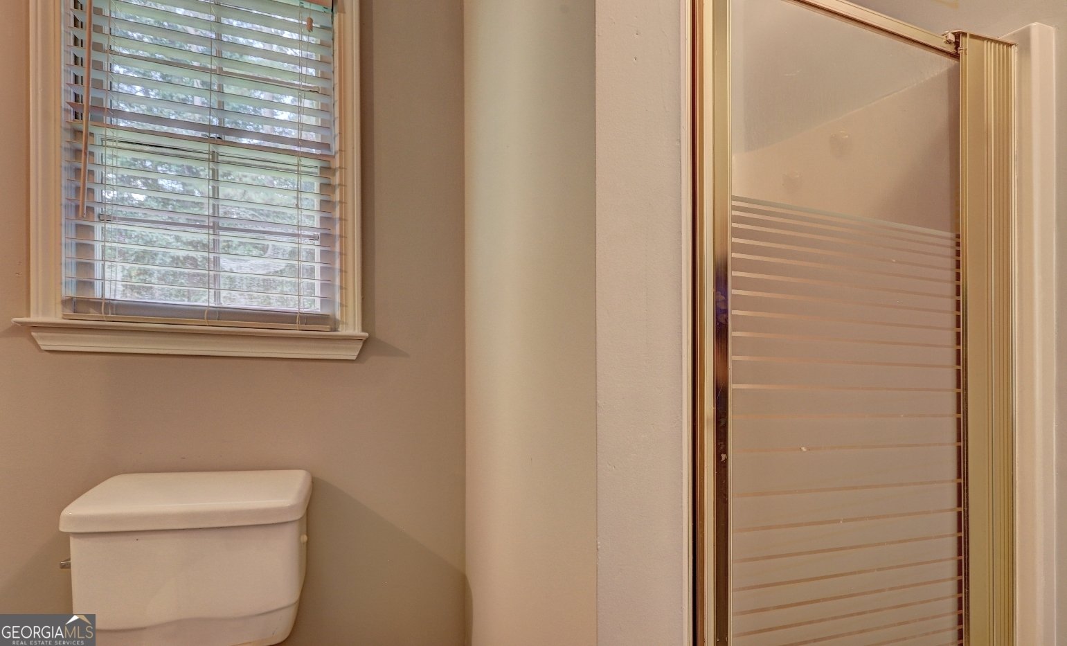 170 Pine Tree Lane McDonough - 18