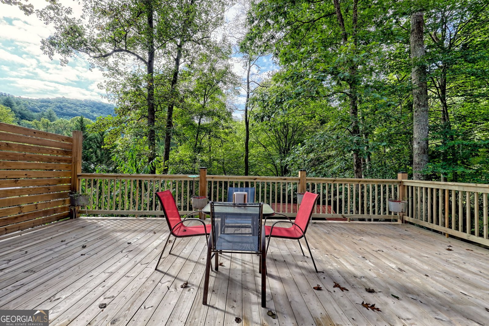 65 Jenkins Trail Blairsville - 52