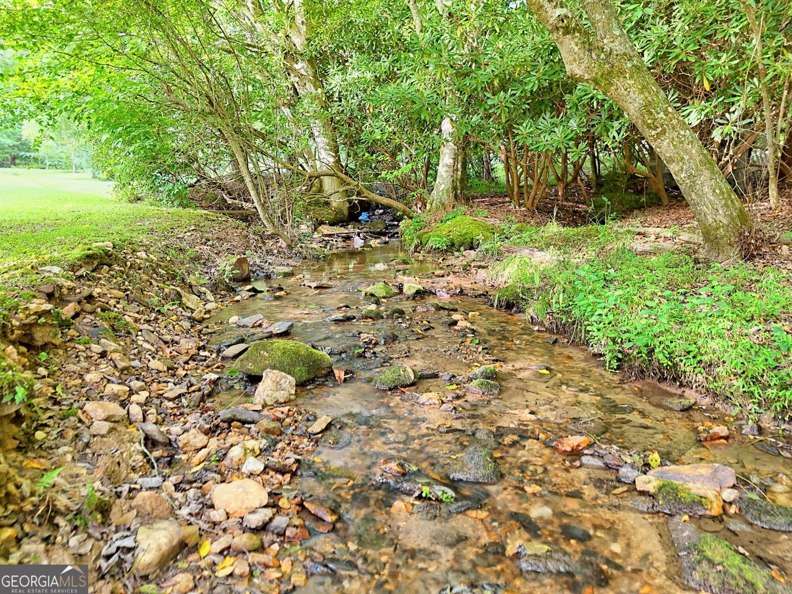 65 Jenkins Trail Blairsville - 77