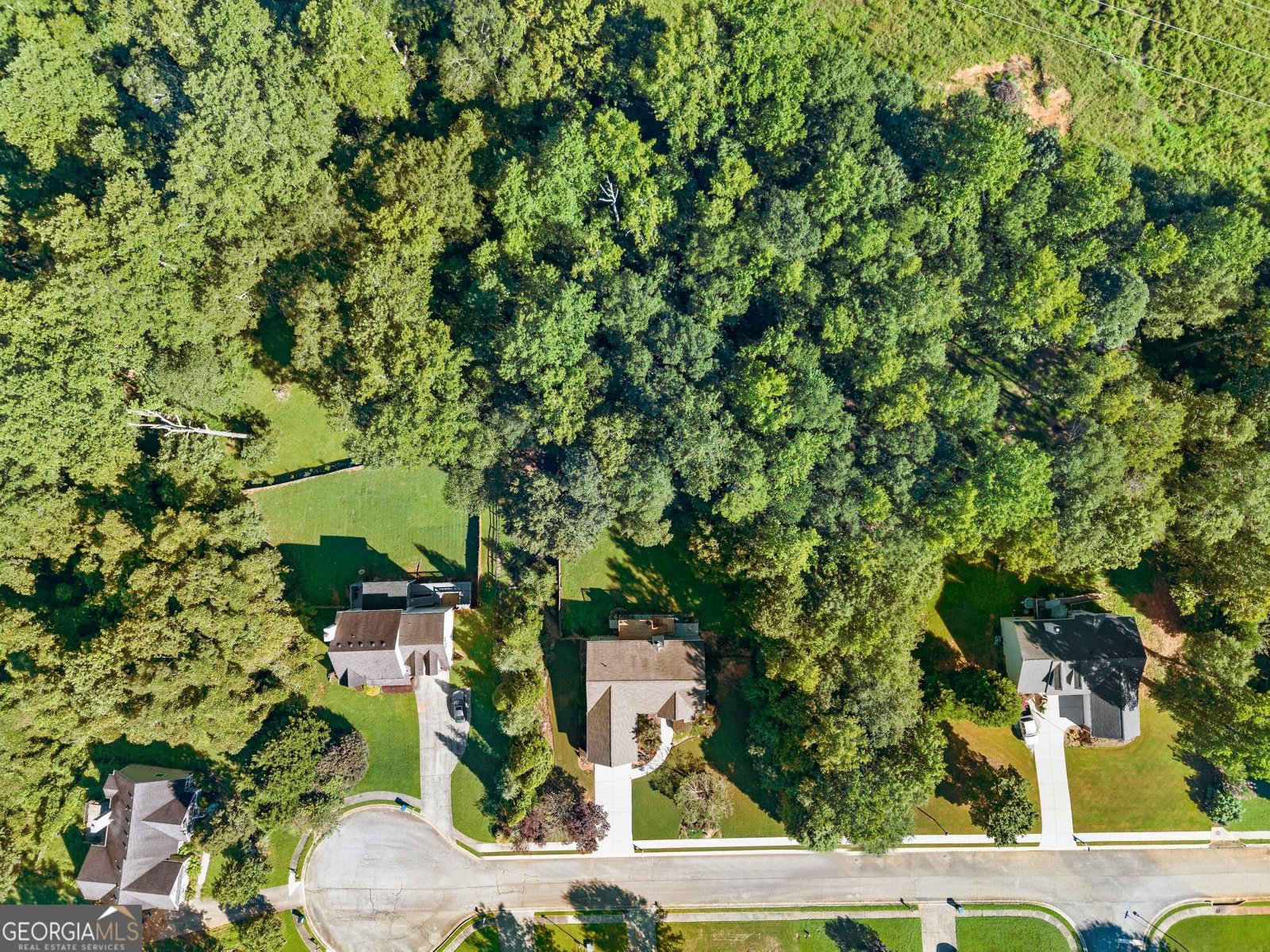 1147 Bradford Park Drive Auburn - 53