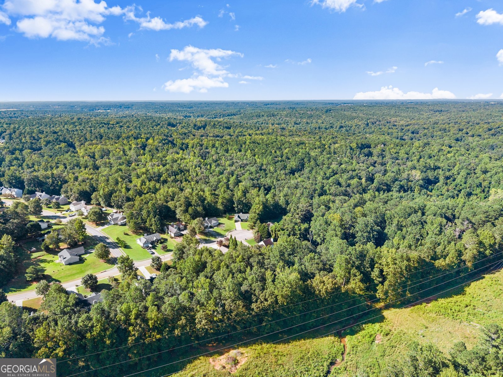 1147 Bradford Park Drive Auburn - 55